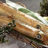 4月の宴　【雅】9品／2時間飲み放題 10,000円（税込）