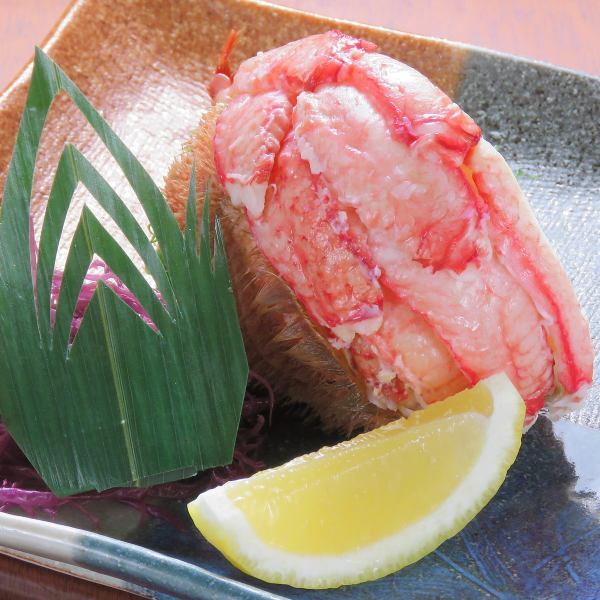 [推荐给初学者]时令鲜鱼套餐<<共8种>> 8000日元