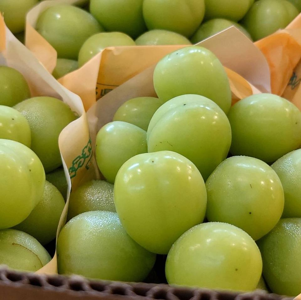 お料理に相性バッチリなお酒を沢山ご用意しております!