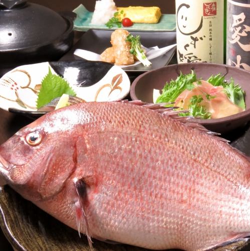 Luxury banquet with extra large red sea bream course