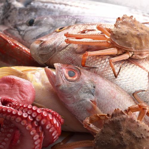 石川県直送。日本海の鮮魚