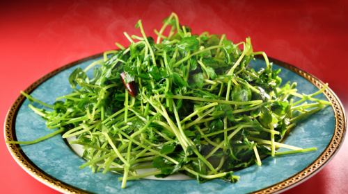 Stir-fried bean seedlings with garlic