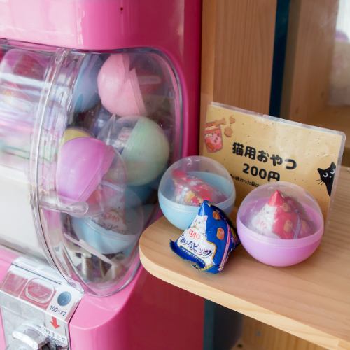 【30分・60分コースあり】猫ちゃんが大喜びするおやつも1袋200円(税込)で販売中♪