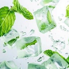 シーシャフレーバー　（ミント系）