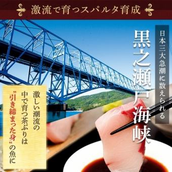 どん薩摩の“黄金出汁”と幻のぶり“茶ぶり”がセットにしてお届け。