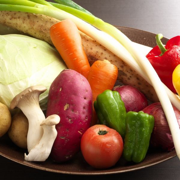 제철의 맛을 만끽 농가 직송 신선한 야채