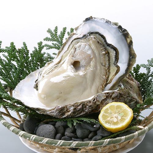 「岩牡蠣」的季節開始了！這種牡蠣只有在每年的這個時候才能品嚐。我們將大塊魚肉切成易於食用的小塊。這道菜口感彈牙，令人難以抗拒。我們真心希望您能來體驗一下！數量有限，售完即止，請諒解……（哈哈）我們有各種各樣的商品，相信您一定會玩得開心。期待您的光臨！