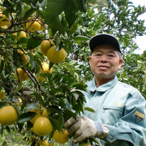 高知の柑橘農家の果汁使用