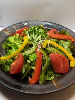 Goya salad