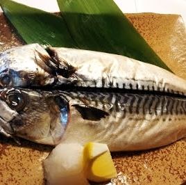 [Standard] Grilled mackerel