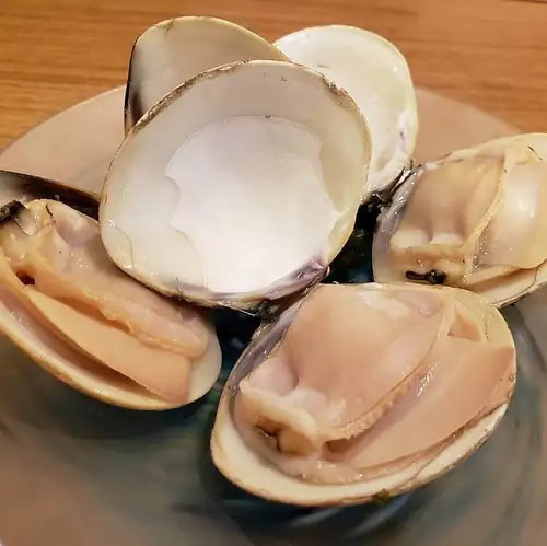 焼きはまぐり (3ヶ)
