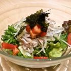 Pork shabu-shabu salt choregi salad