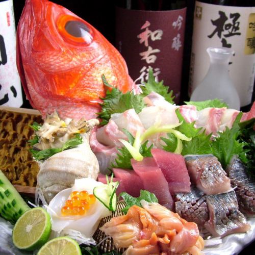 Seasonal fish from all over Japan, not to mention Tokushima