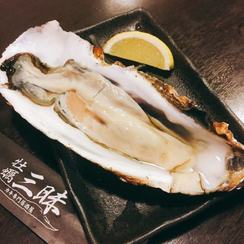 Raw, roasted, gouted oysters of large oysters♪