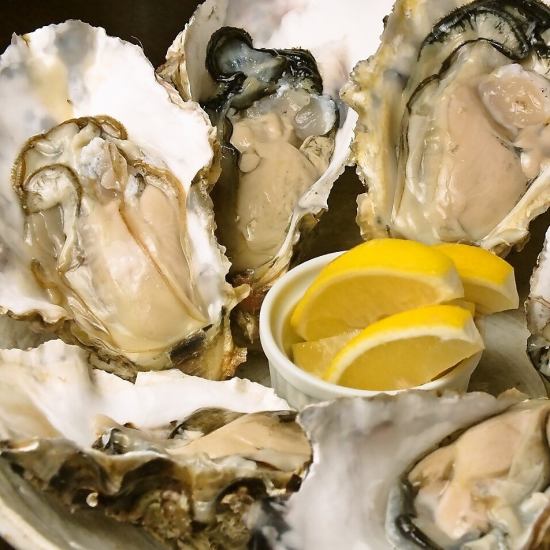 牡蠣を食べるなら「牡蠣のたね」！！新鮮な牡蠣をご用意★