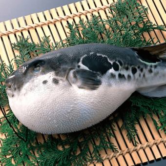 【冬季限定】国産とらふぐづくし冬の味覚コース◆B 全9品(120分飲み放題付き)