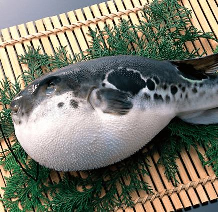 【동계 한정】국산 토라후구즈쿠시 겨울의 미각 코스 ◆B 전 9품(120분 음료 무제한 포함)