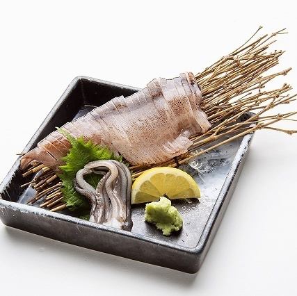 Whole squid sashimi