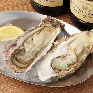 【人気No.1！牡蠣を堪能できる】牡蠣付きオイスターシェアコース（料理のみ）全8品4928円(税込)