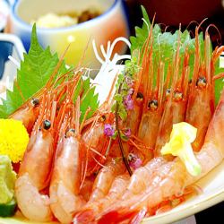 Sea of Japan sweet shrimp (5)
