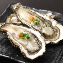 Raw oysters