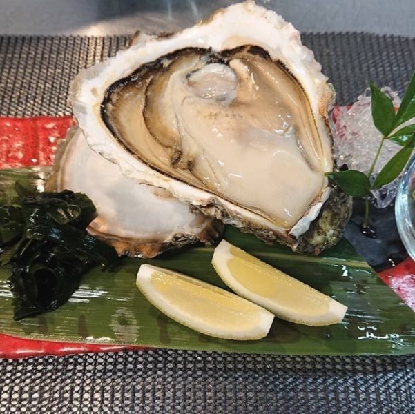 【日替わりメニュー充実】漁師さんから直接仕入れる鮮度抜群な魚介類をお楽しみください！