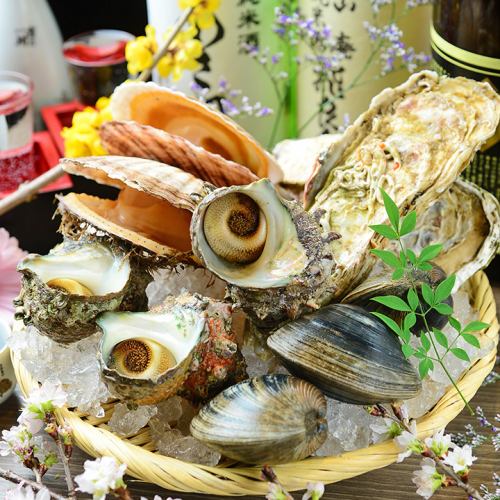 推薦新鮮的貝類菜餚！