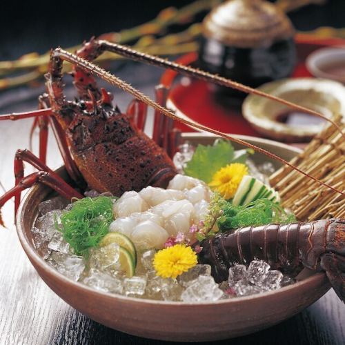 朝獲れ鮮魚を使用した料理