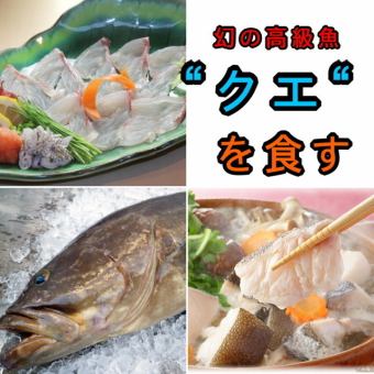 ■贅沢！イカ造りとシマアジ姿造り付き!!全10品2Ｈ飲放付6600円→6000円(税込)