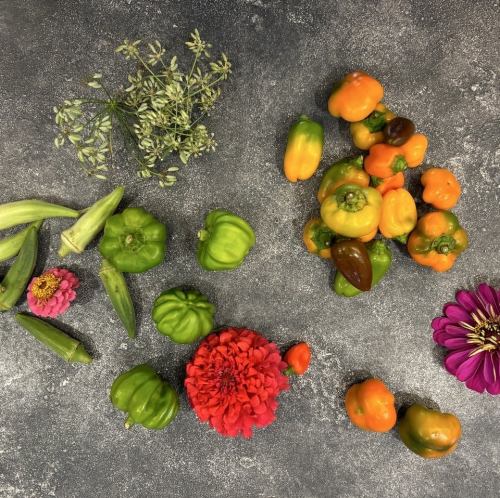 New culinary possibilities born from carefully selected ingredients