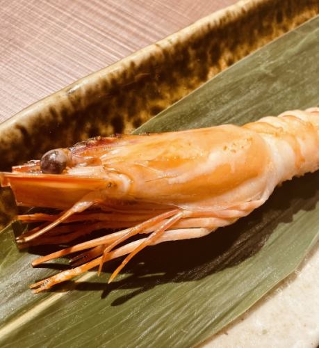 Large shrimp