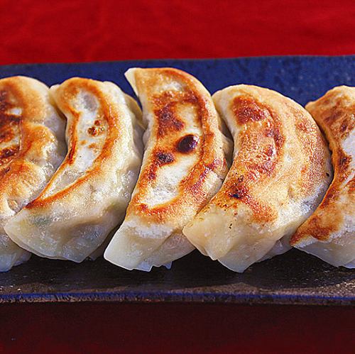 5 handmade gyoza dumplings
