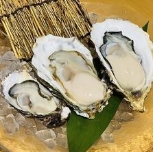 今日生蠔（生的或烤的）口味對比