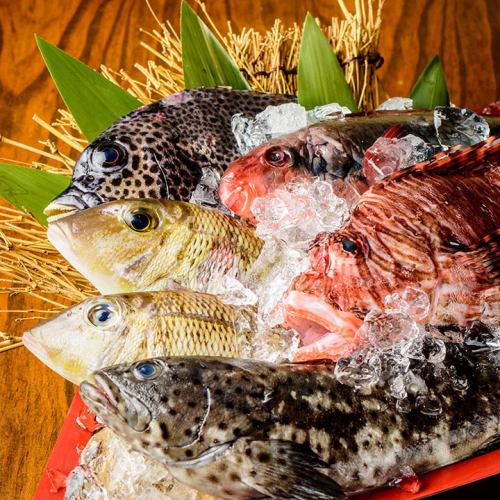 職人が厳選する旬の鮮魚