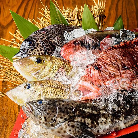 毎日旬の鮮魚を入荷!ネタは日替わりでお楽しみいただけます◎