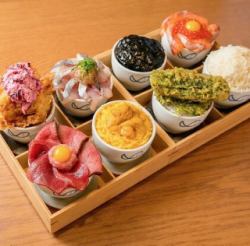 セカクラフルセット｜大満足！全色揃ったお得なセット