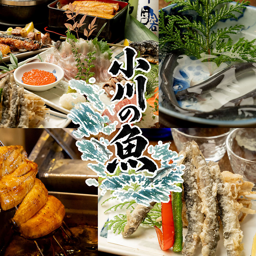 小川 の 魚