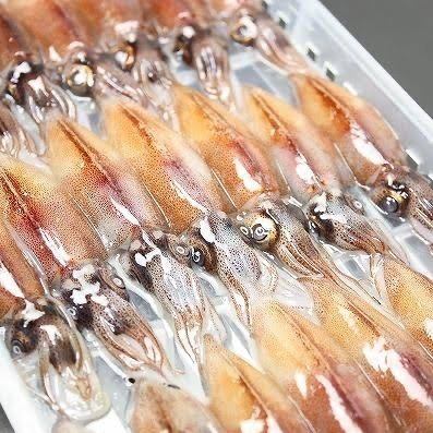 Fresh Firefly Squid *Seasonal