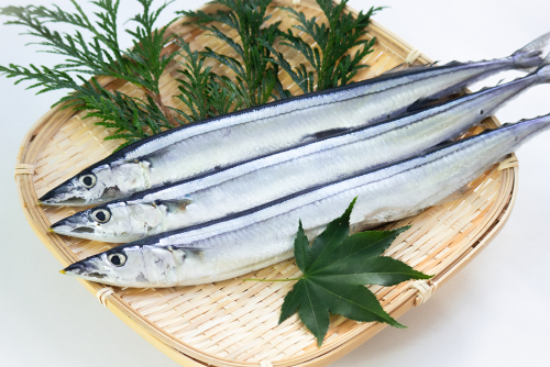 Pacific saury*seasonal