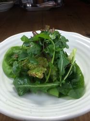 coriander and watercress salad