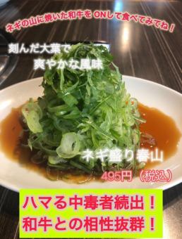 ネギ盛り春山