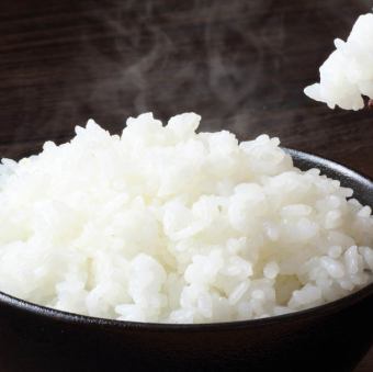 ライス(中)