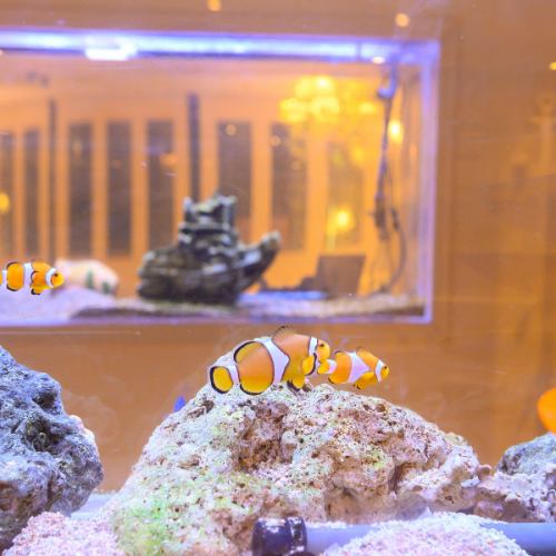 海洋風格私人房間