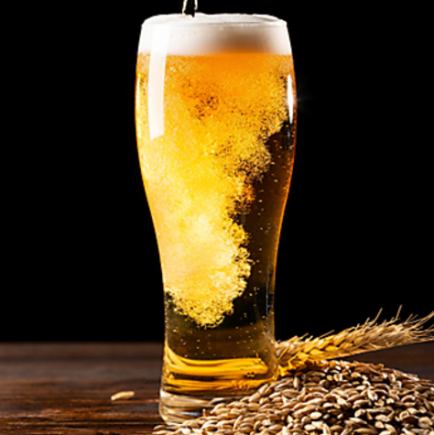 当日予約OK！単品120分(90分L.O)飲み放題コース♪