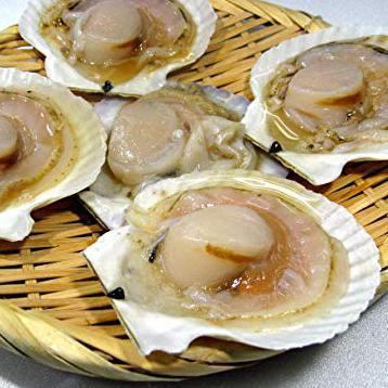 Raw oyster <1 piece>