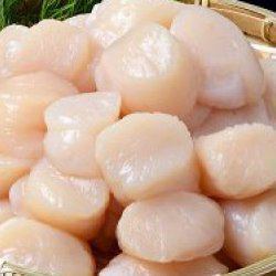 Scallops