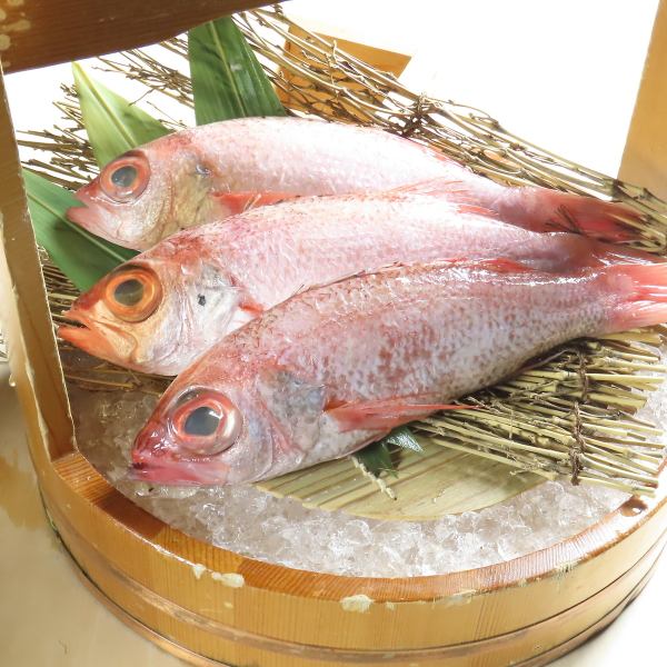 我們提供來自石川縣的新鮮海鮮，包括藍喉鯛。是與清酒、燒酒、葡萄酒完美搭配的傑作。