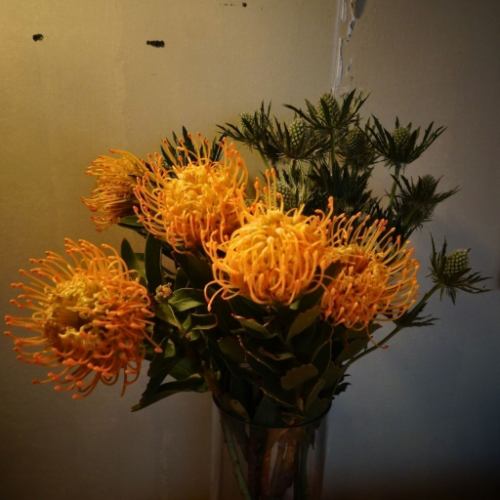 꽃이 있는 생활