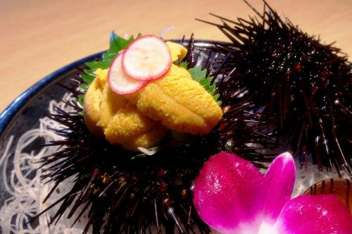 うに刺し