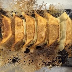 もくもく円盤餃子　8個入